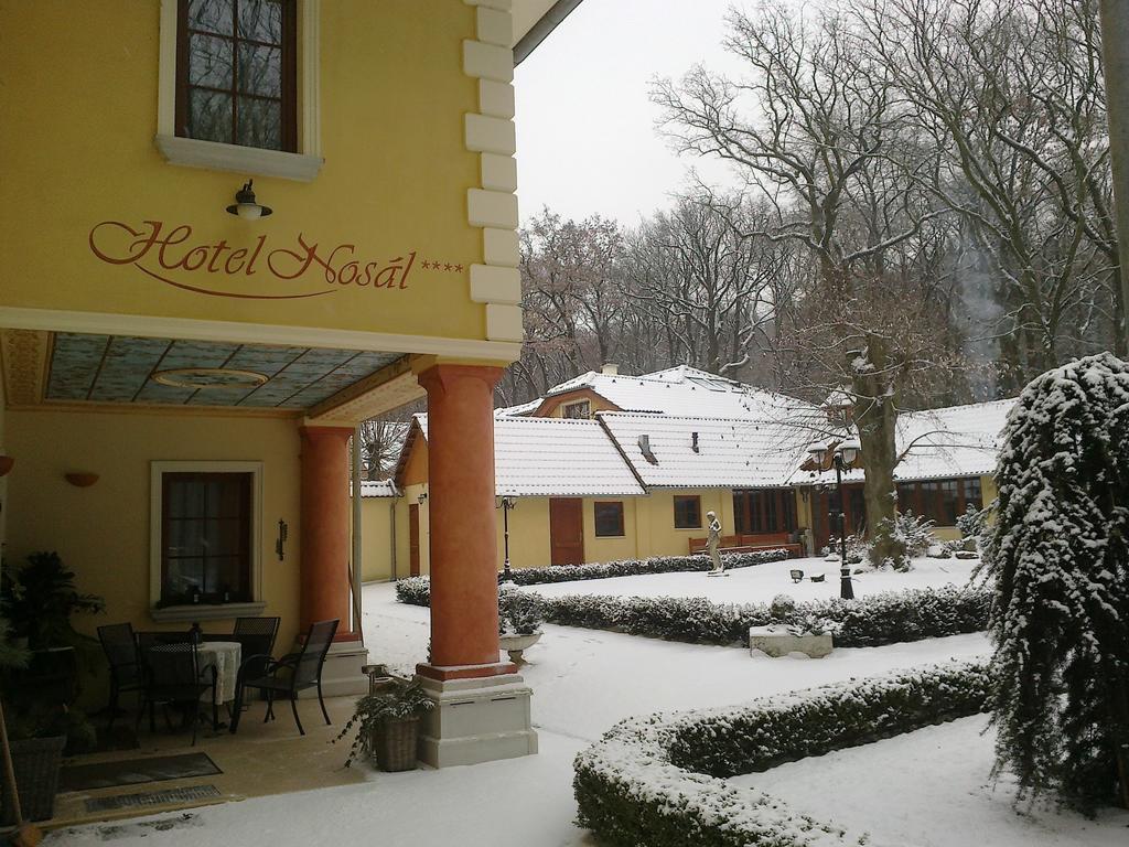 Nosal 4* Praag